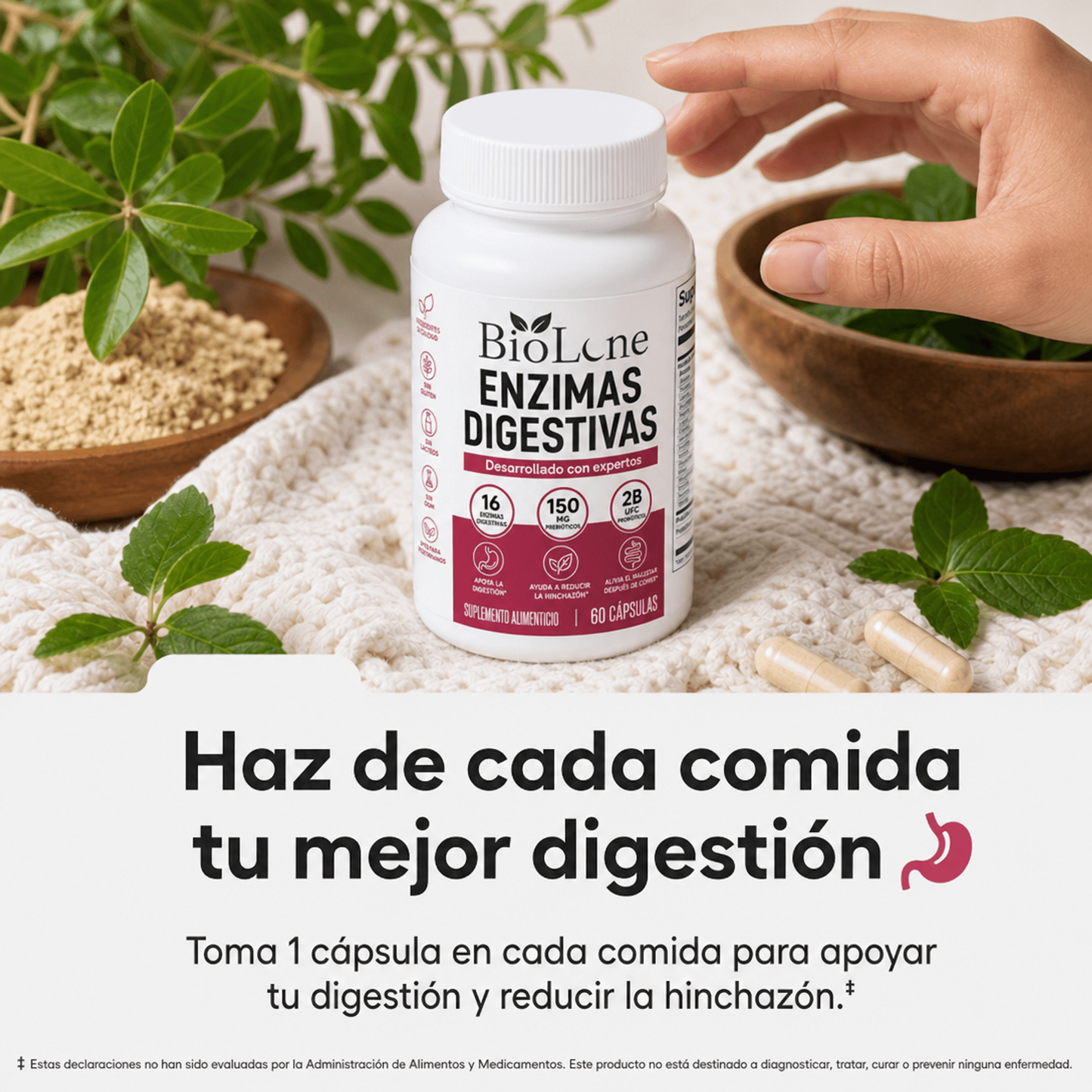 Enzimas Digestivas | Mejora la digestión, reduce la hinchazón