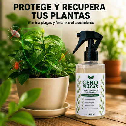 CERO PLAGAS | LA SOLUCIÓN NATURAL PARA LAS PLAGAS DE TU LIMONERO