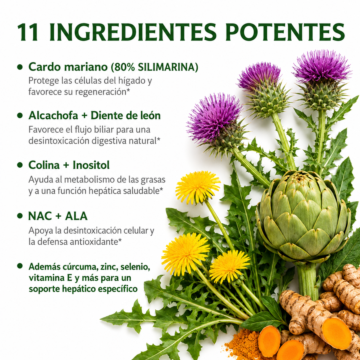 Detox de Hígado | Suplemento de cardo mariano