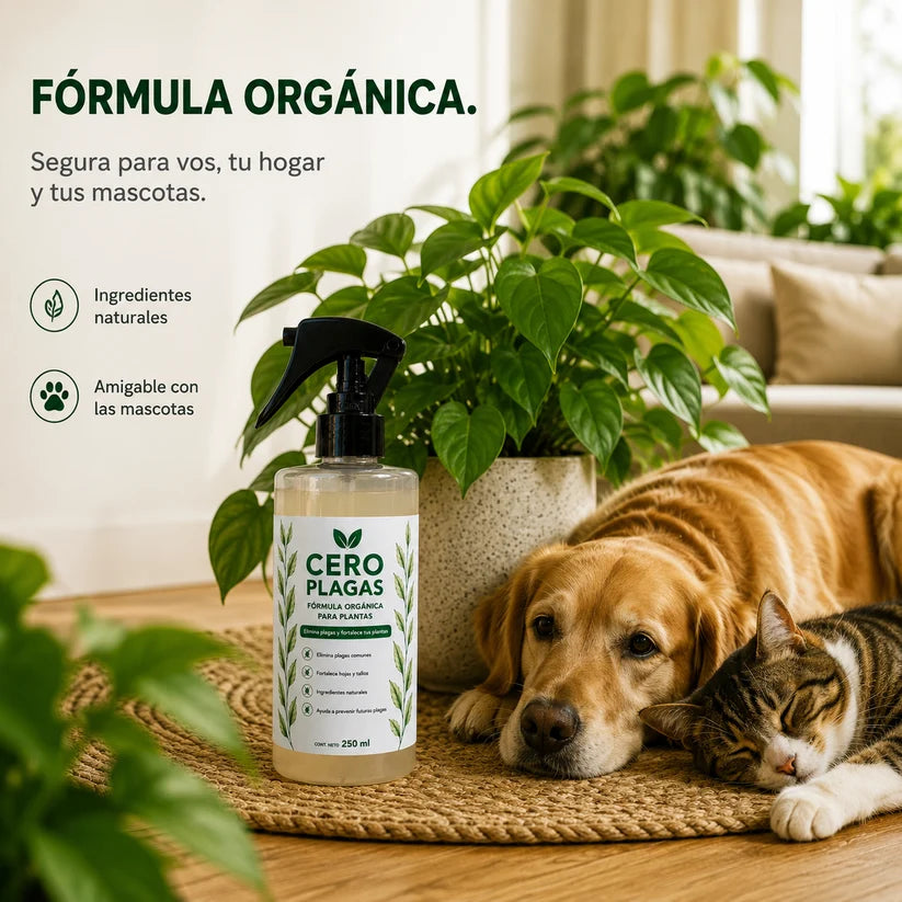 CERO PLAGAS | LA SOLUCIÓN NATURAL PARA LAS PLAGAS DE TU LIMONERO