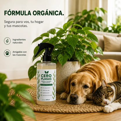 CERO PLAGAS | LA SOLUCIÓN NATURAL PARA LAS PLAGAS DE TU LIMONERO
