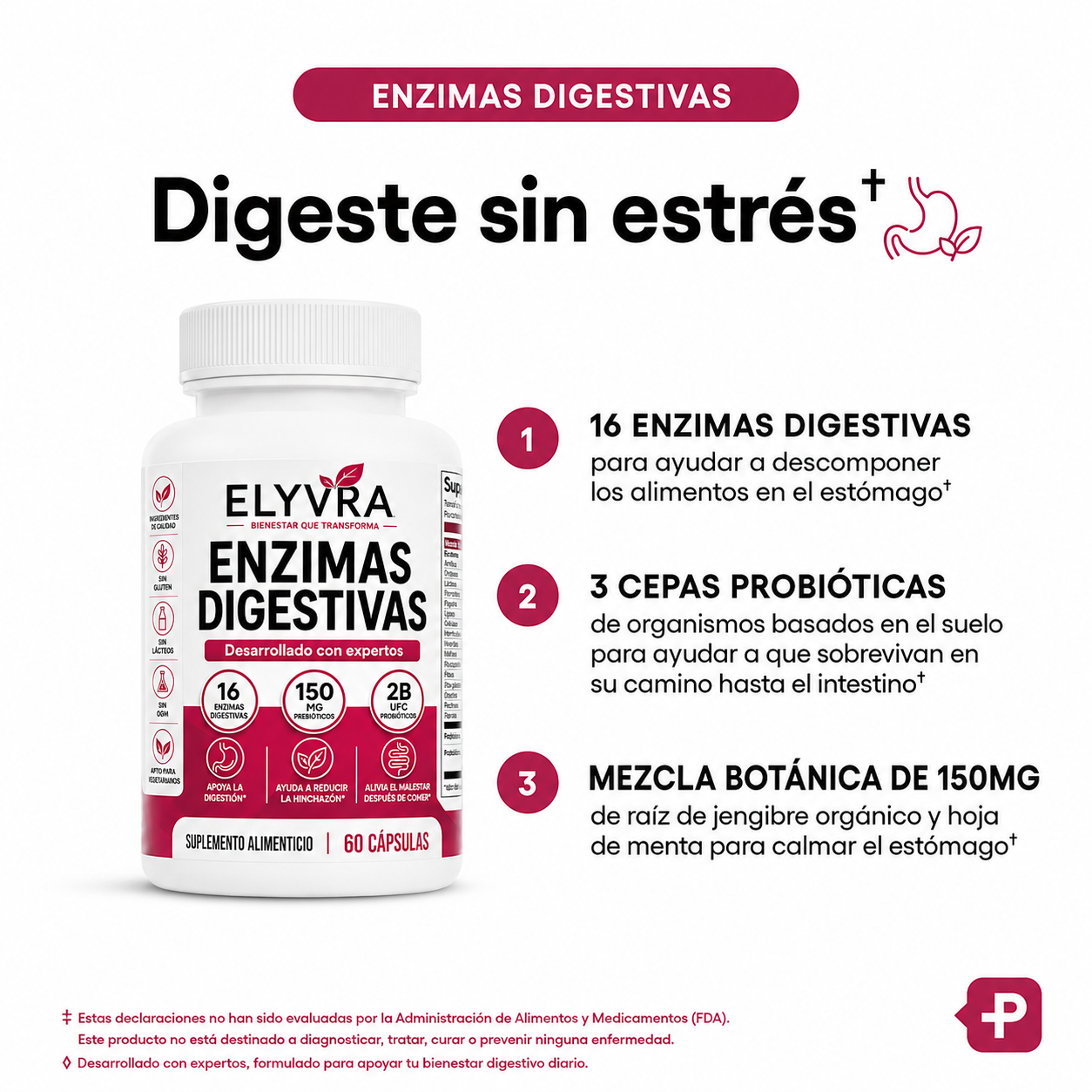 Enzimas Digestivas | Mejora la digestión, reduce la hinchazón