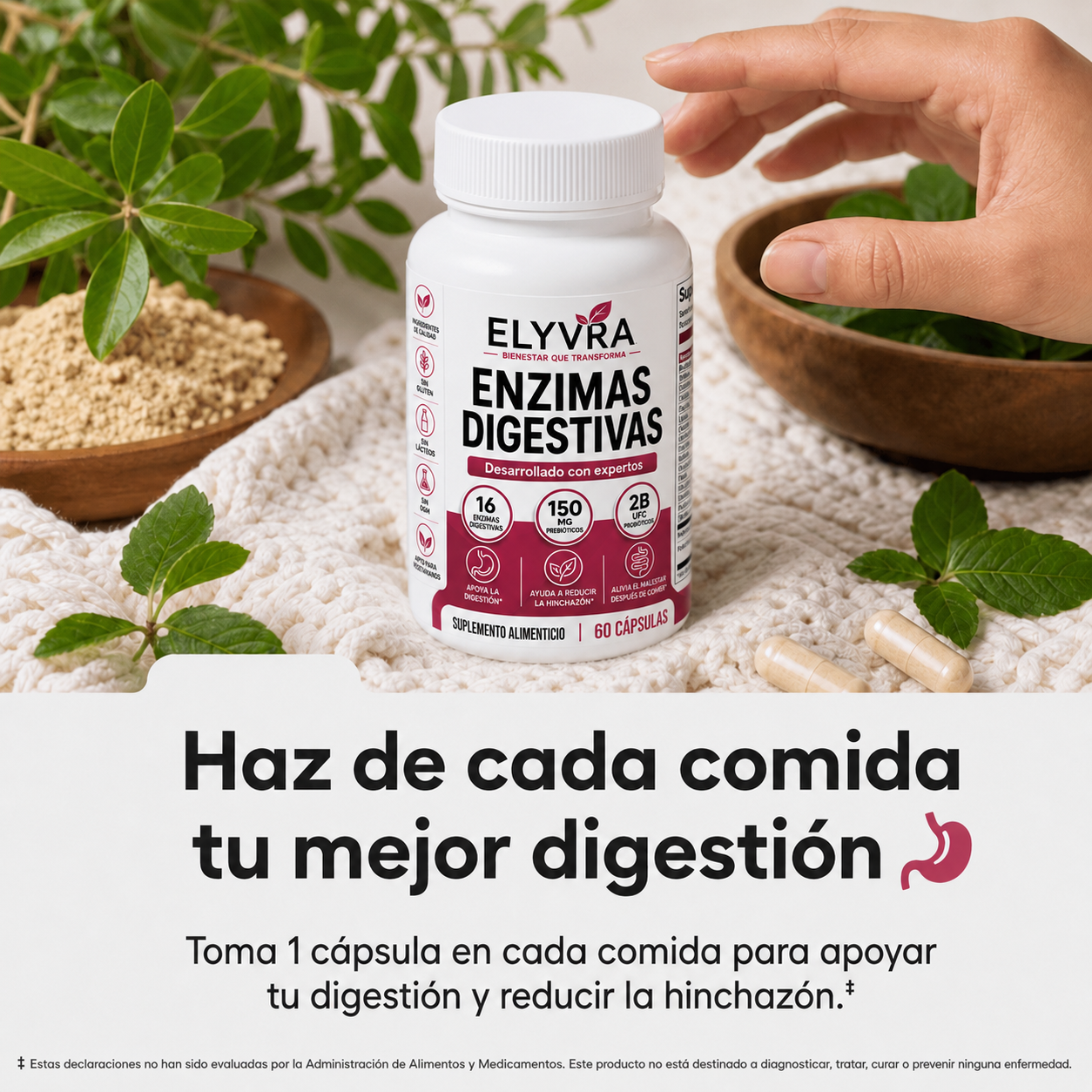 Enzimas Digestivas | Mejora la digestión, reduce la hinchazón